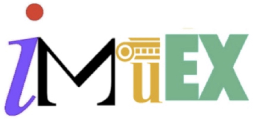 Mathematics Research Institute of the University of Extremadura 